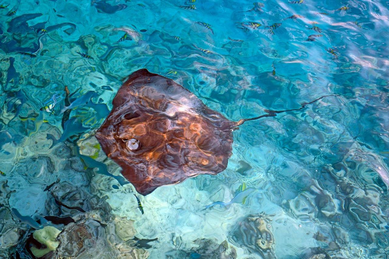 Ocean Village Maldives Holhudhoo Exterior foto