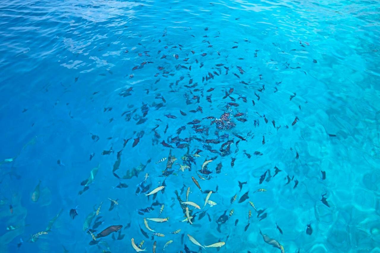 Ocean Village Maldives Holhudhoo Exterior foto