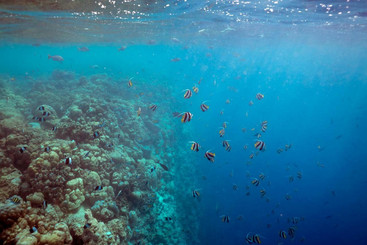 Ocean Village Maldives Holhudhoo Exterior foto